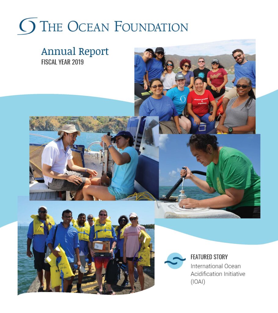 Annual Report Cover Fiscal Year 2019