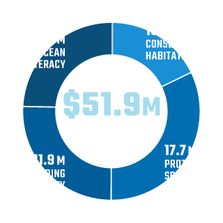 Our Impact Chart showing 990 categories Fiscal Year 2019