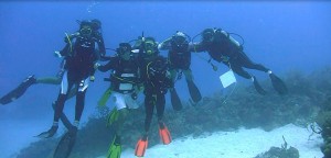 Dive trip examining Cuba’s coral reefs.