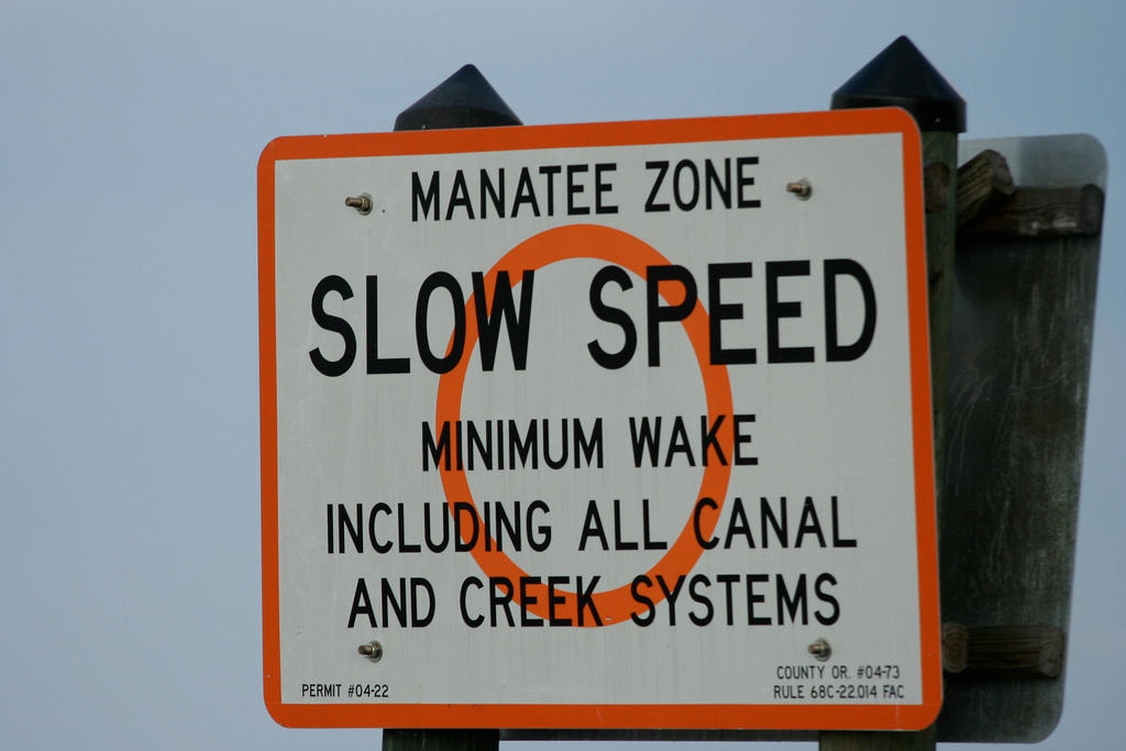 Manatee-Zone.-Photo-credit.jpg