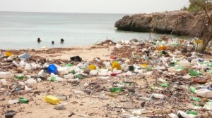 Of all the man-made debris that finds its way into the Caribbean waters, it is estimated by the United Nations Caribbean Environment Programme that 89.1% has originated from shoreline and recreational activities.