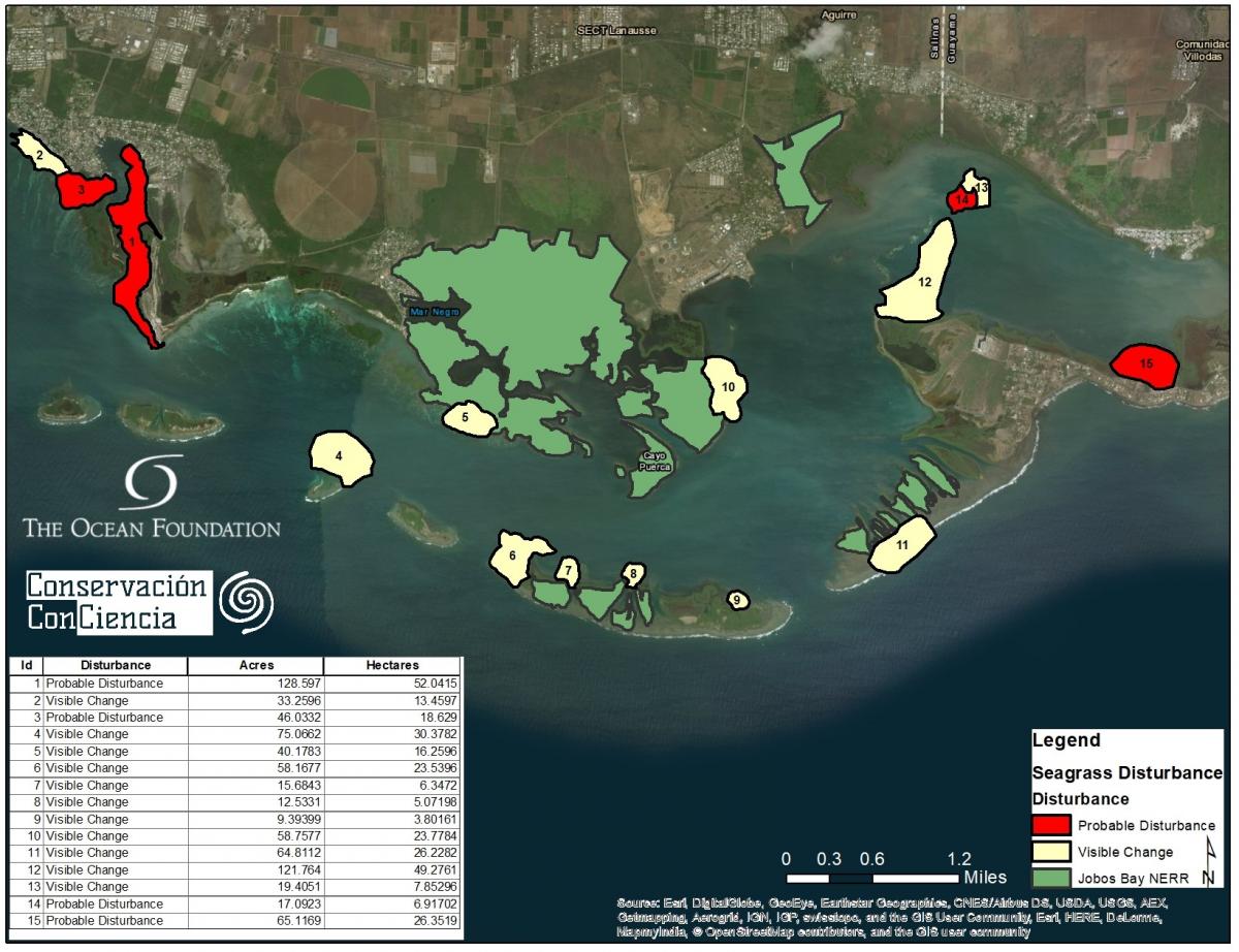 Seagrass Jobos Bay NERR 1 Seagrass Disturbance locations and size.jpg