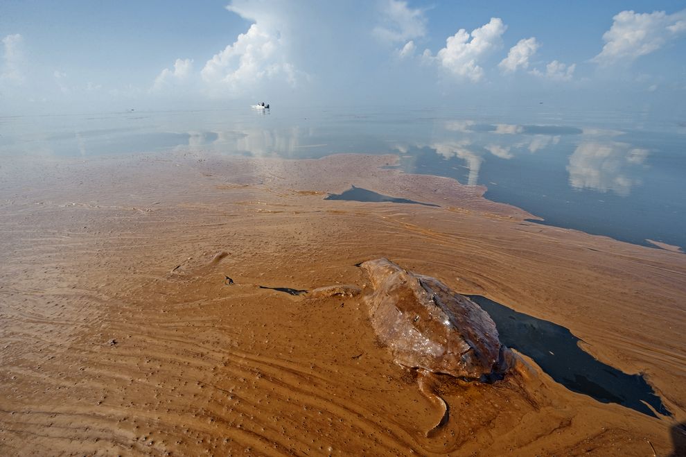 deepwater-horizon-oil-spill-turtles-01_78472_990x742.jpg