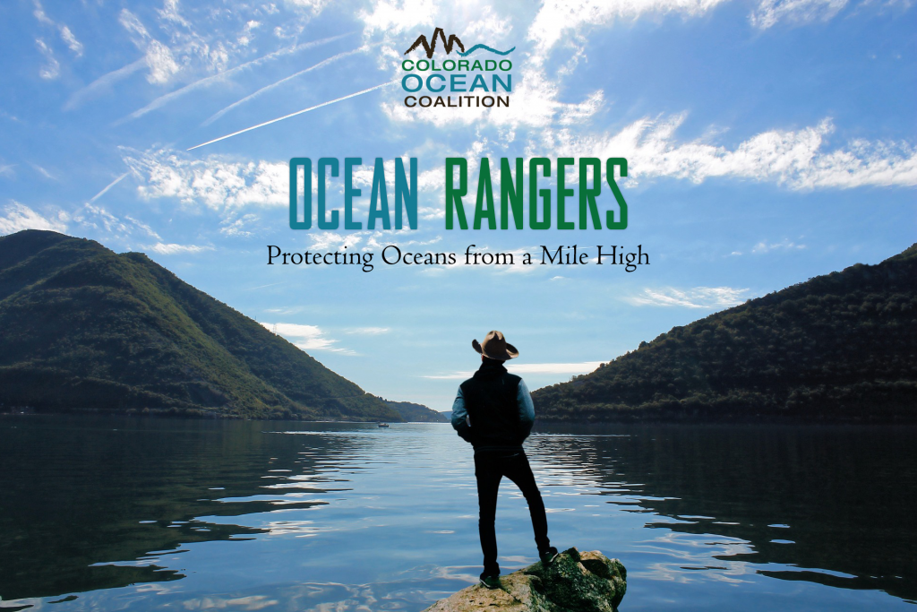 ocean-rangers-final-1024x683.png