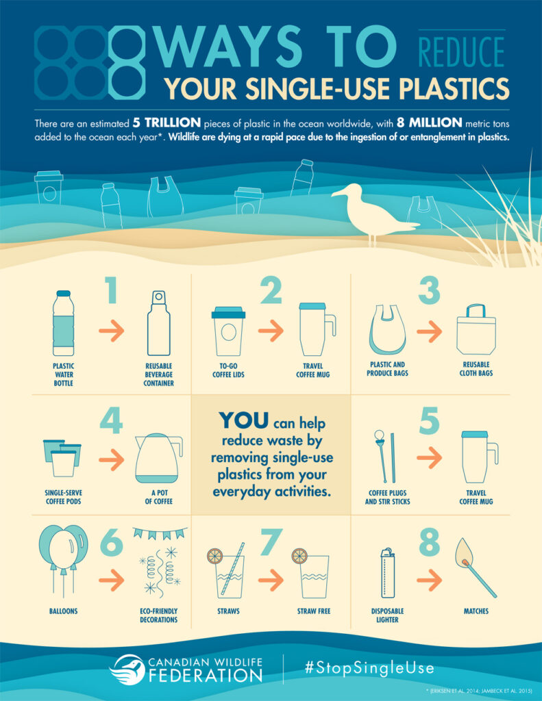 8 ways to reduce your single-use plastic infographic