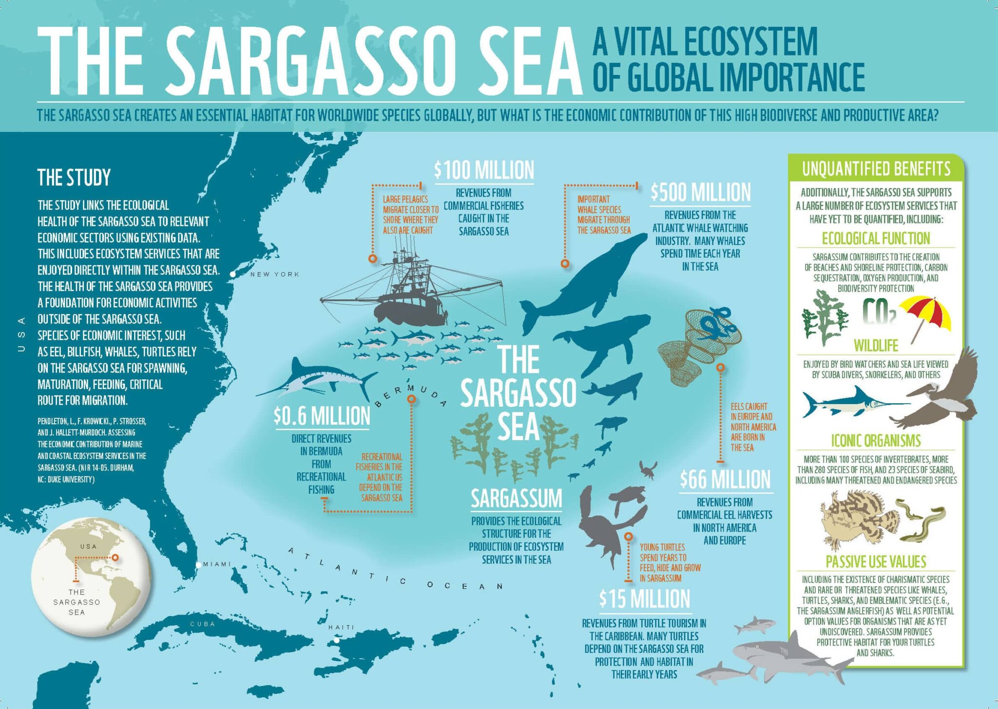 Resources of The Sargasso Sea.