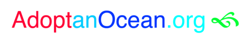 Coastal Coordination Logo