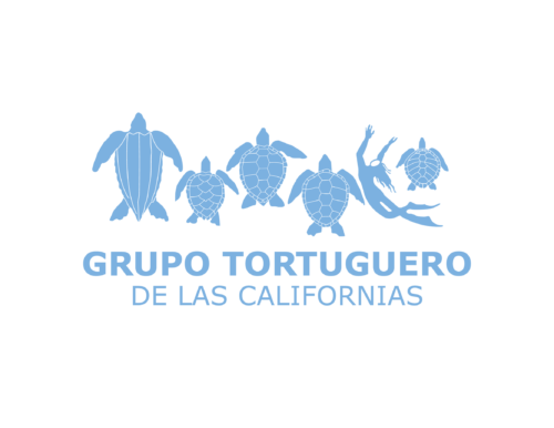 Grupo Tortugeuero Logo
