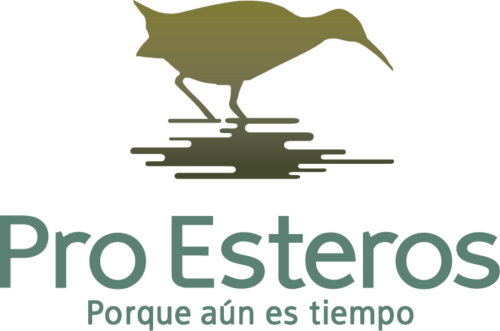 Pro Esteros Logo