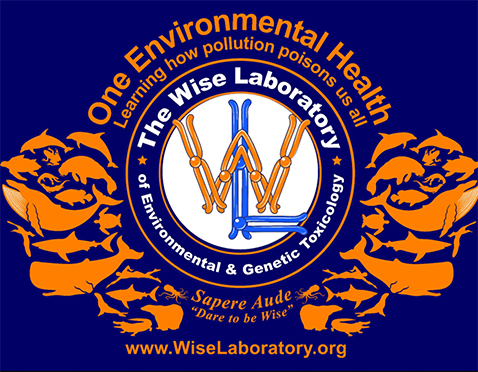 Wise Lab Logo
