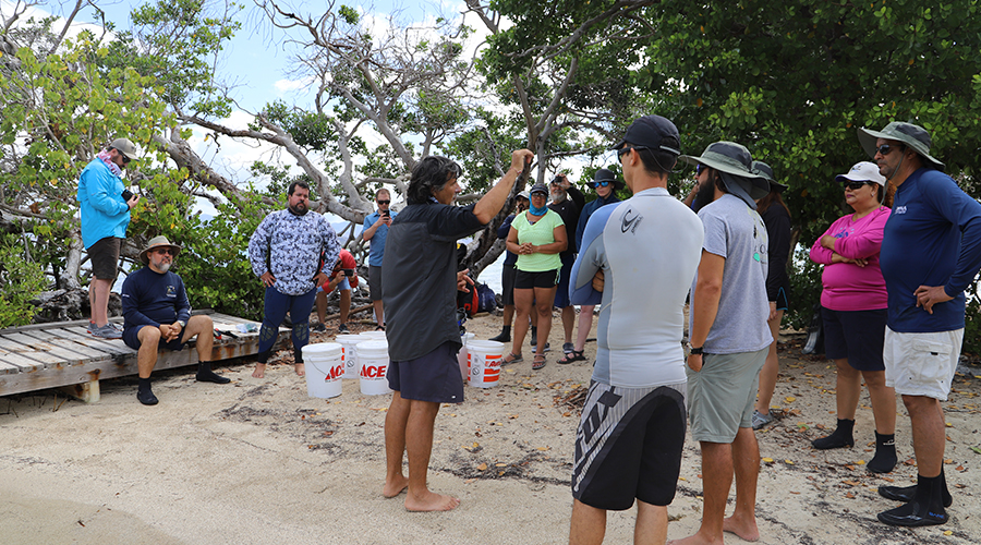 Scientists on beach learning how to plant and restore seagrass