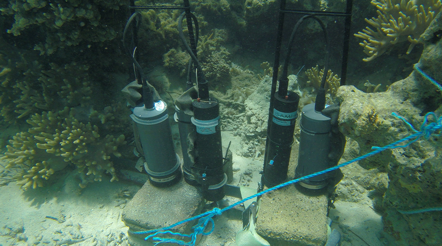 Underwater pH sensors on the bottom of the ocean floor