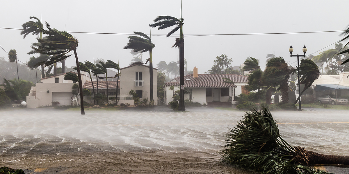 Blue Resilience Initiative - The Ocean Foundation