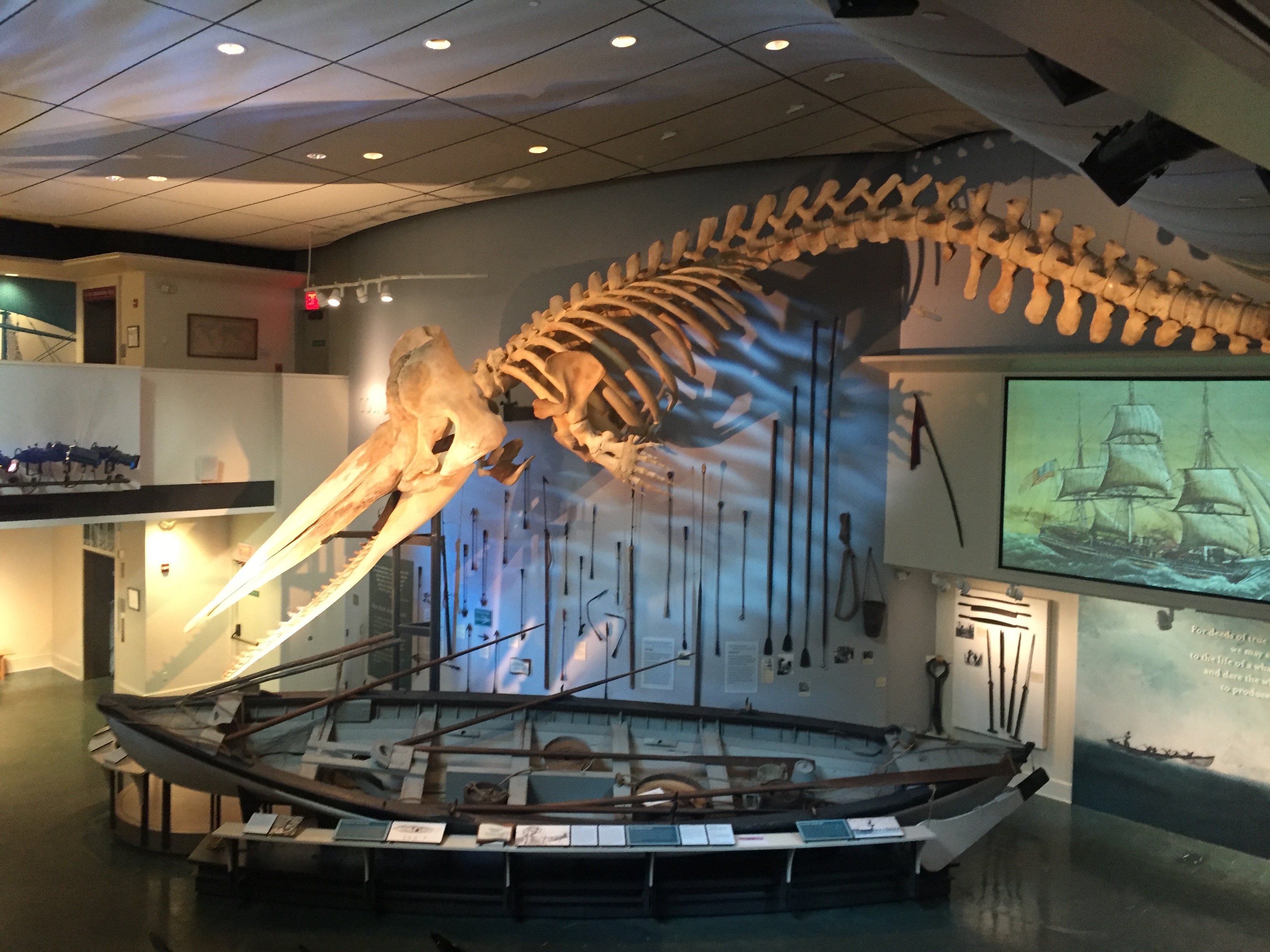 MEININGER Hotels | LinkedIn, image size:3264x2448