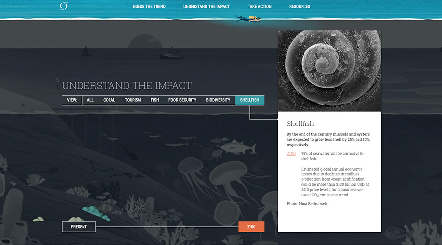Ocean Acidification Day Of Action The Ocean Foundation