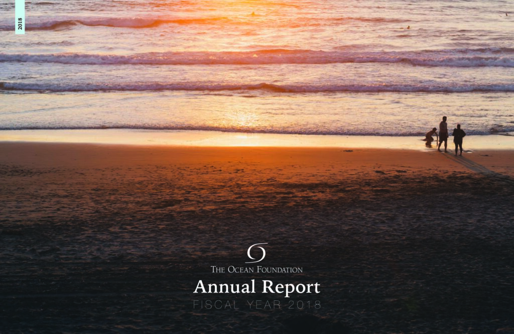 2018 Annual Report Cover
