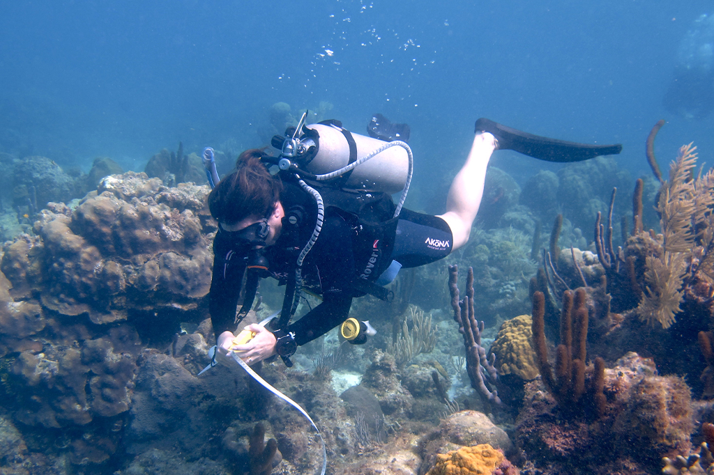Underwater scuba diver taking measurements