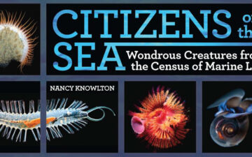 Citizens of the Sea book cover