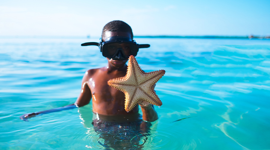 Little boy holding up starfish in the ocean