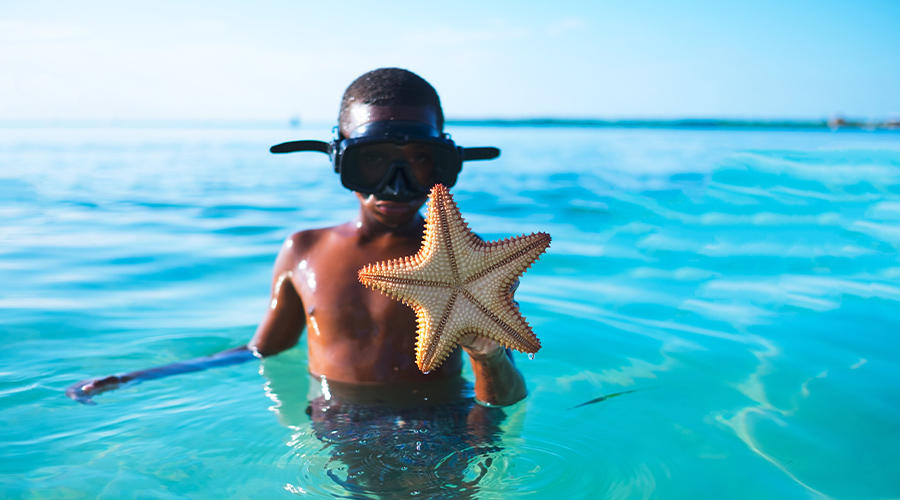 Niño sosteniendo estrellas de mar en el océano