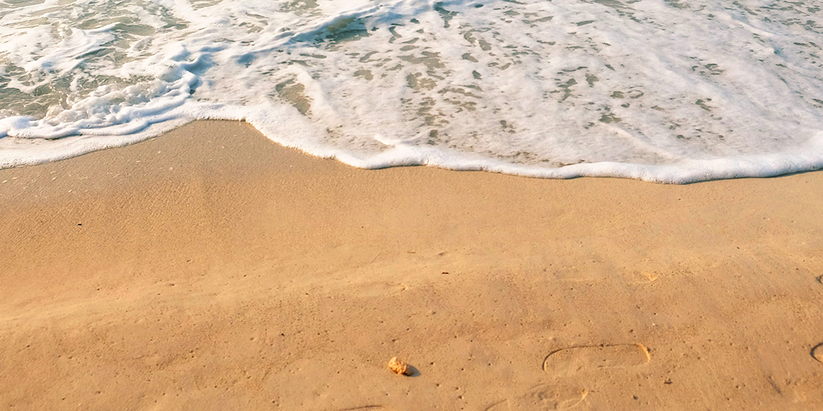 Sandy beach with ocean surf