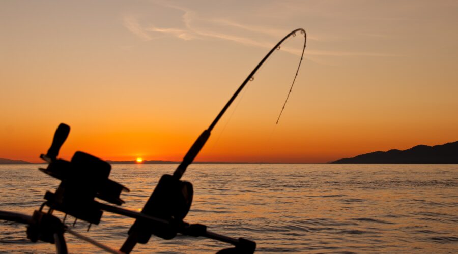 Fishing rod over ocean sunset