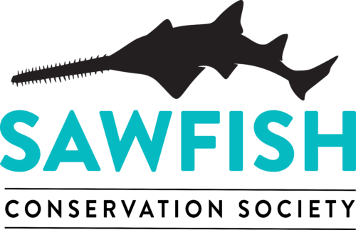 Sawfish Conservation Society logo