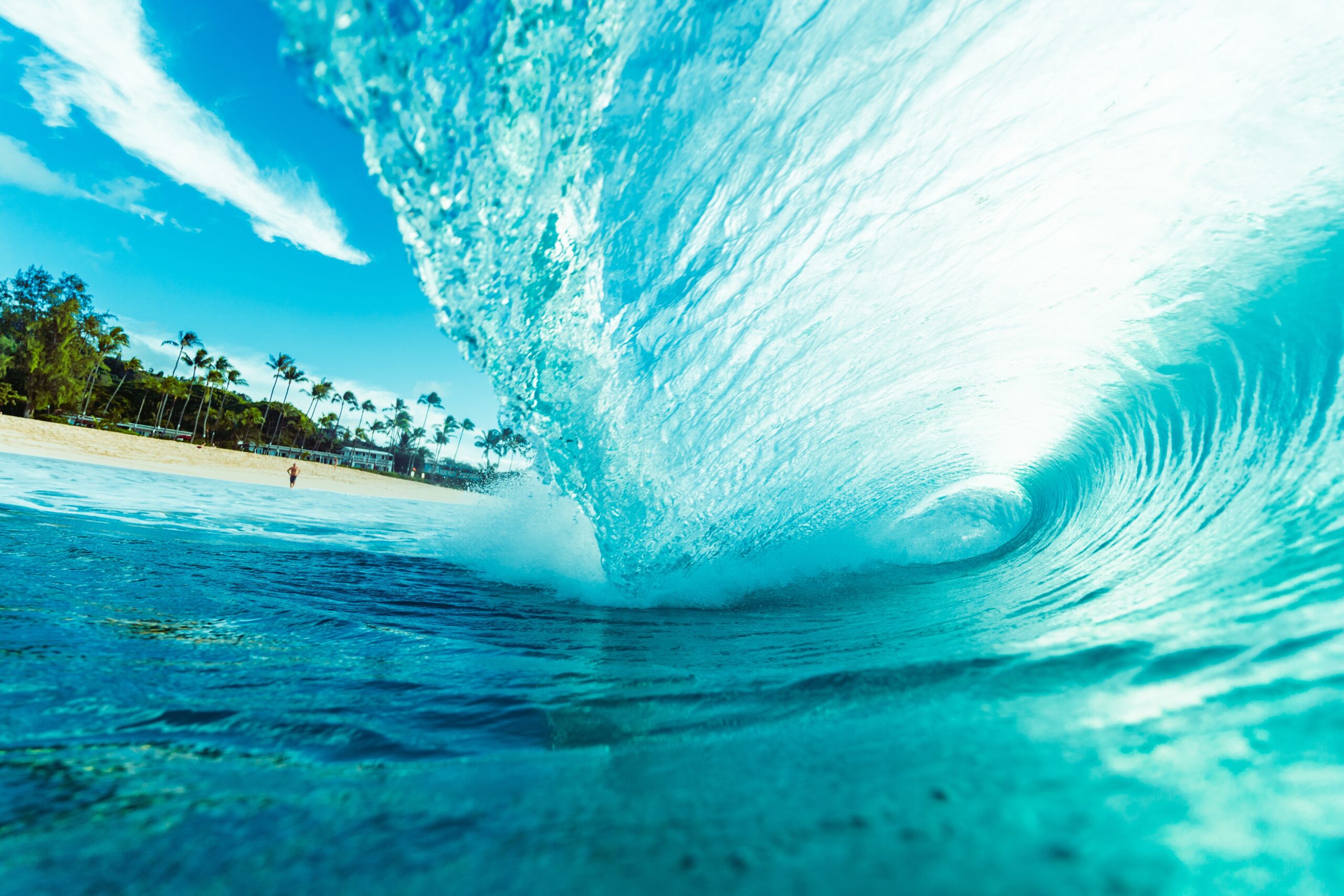 The Blue Wave - The Ocean Foundation