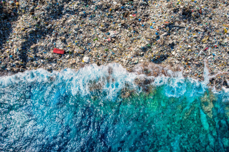 Plastics Initiative - The Ocean Foundation