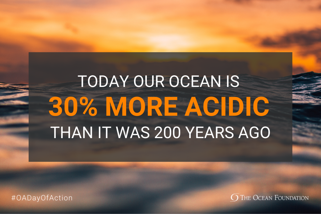 OA Day of Action Press and Social Toolkit The Ocean Foundation