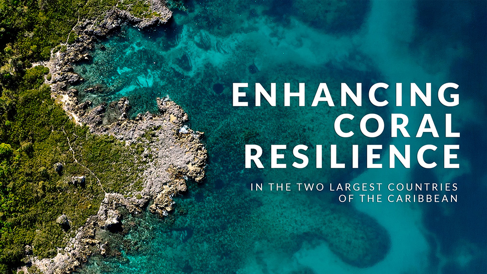 Video banner: Enhancing Coral Resilience