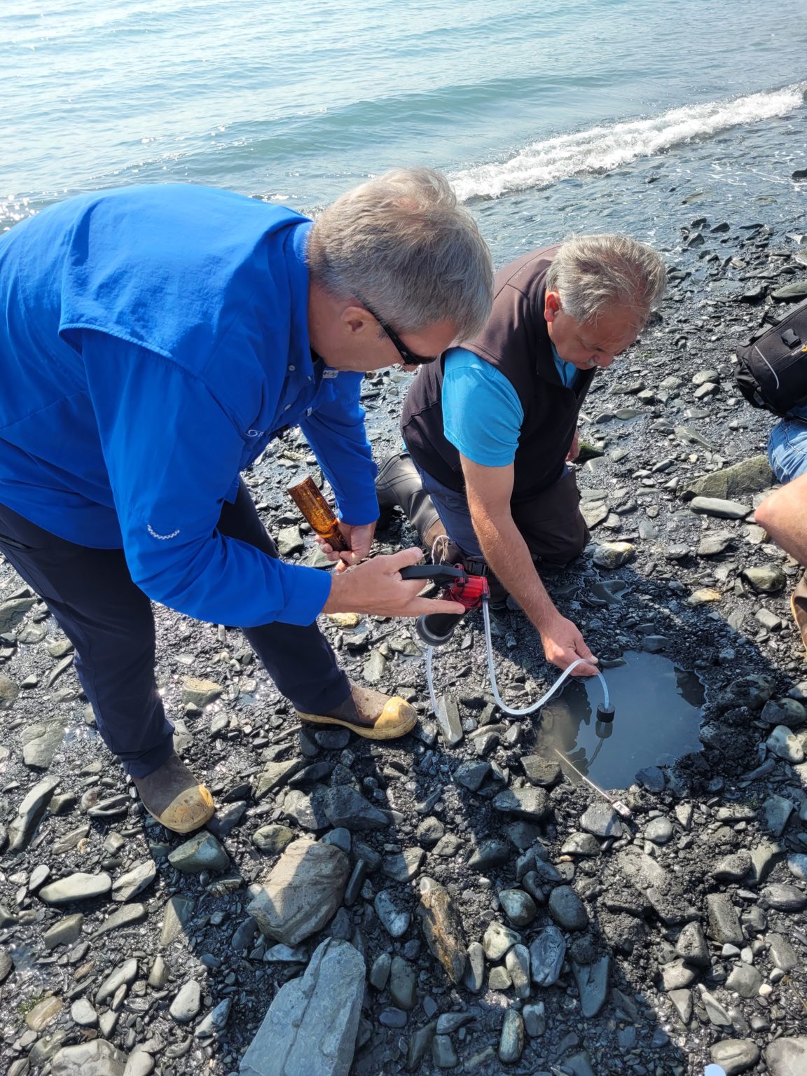 海洋酸化 The Ocean Foundation