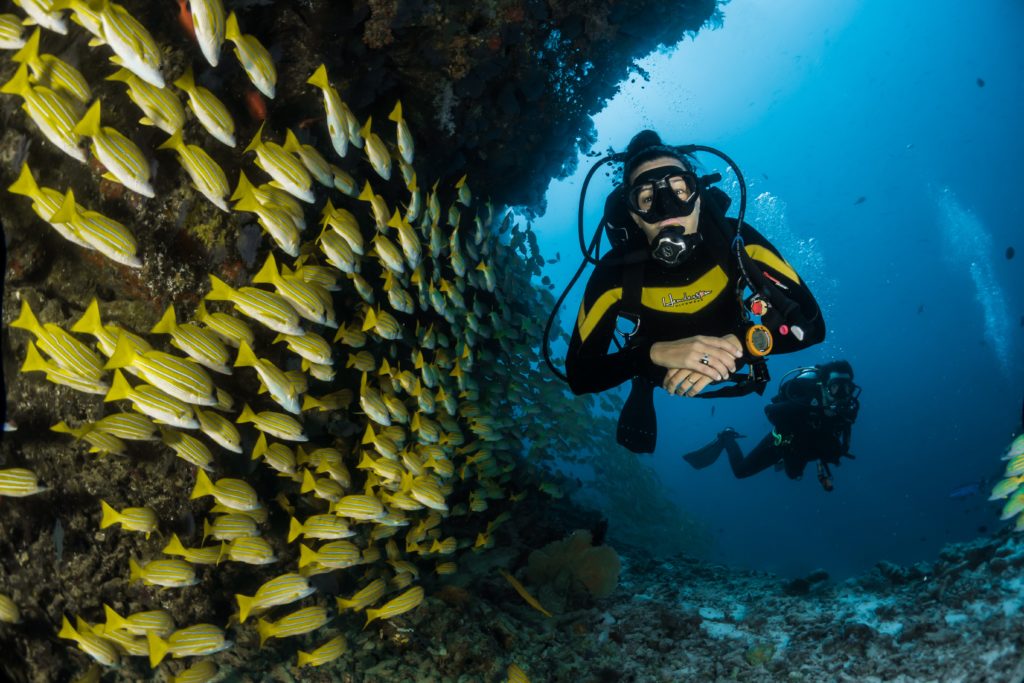 Scuba diver swimming next to a coral reef