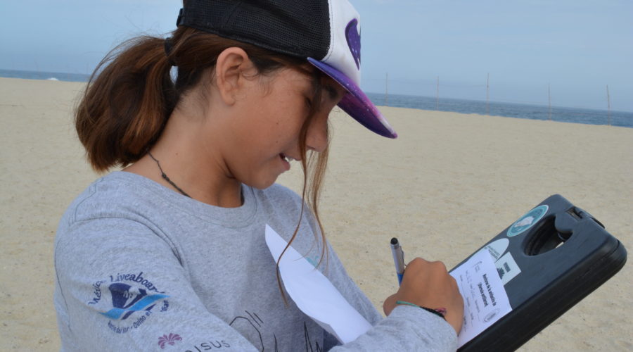 Organizacion SyCOMA: Girl with clipboard on the beach