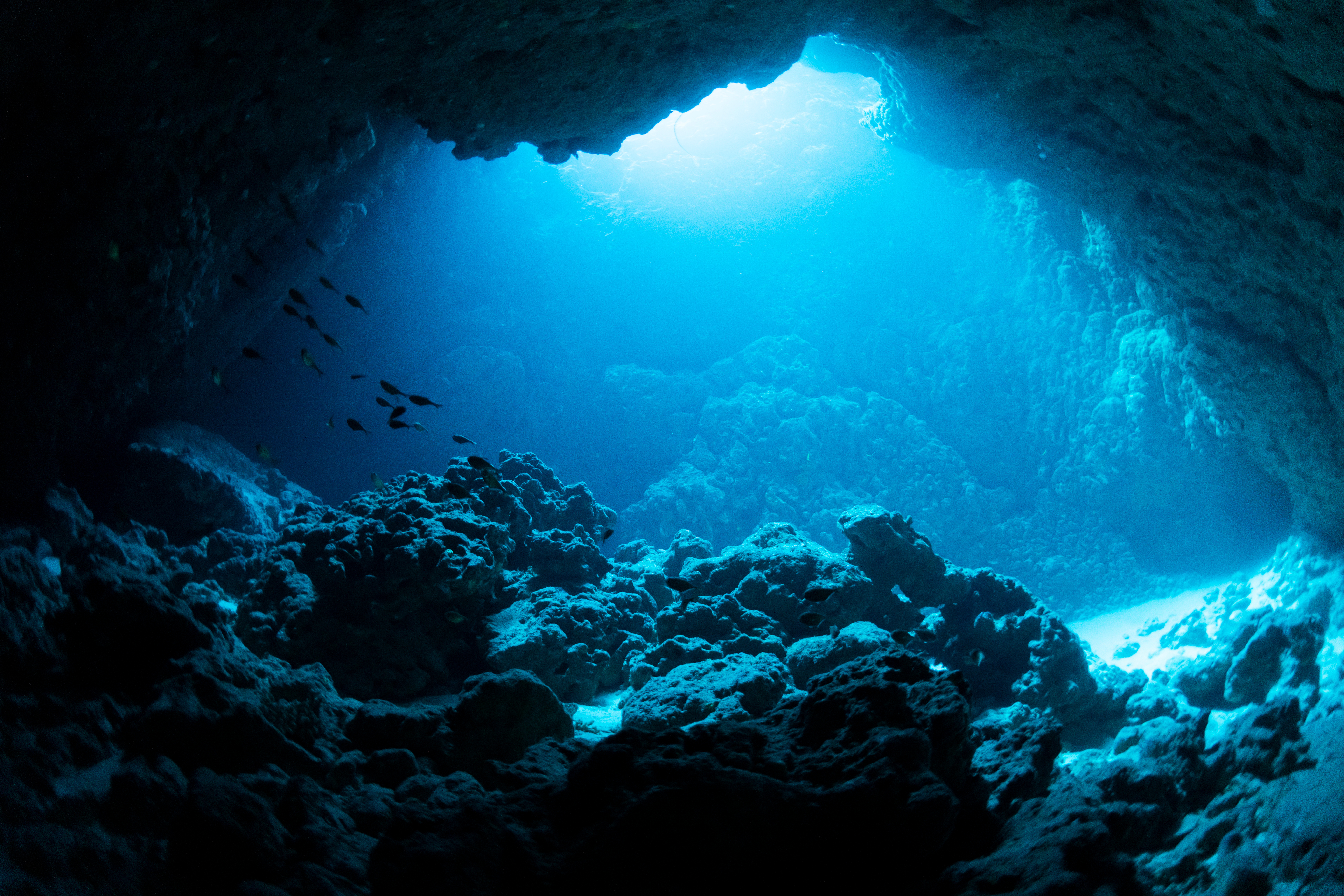 International Seabed Authority: Banner for blog, cave underwater