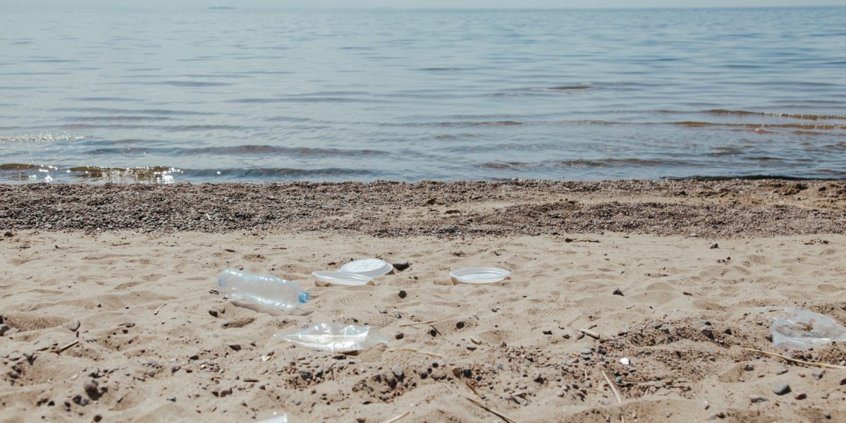 redesigning plastics update newsletter banner: plastic on the beach