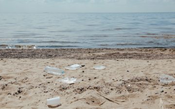 redesigning plastics update newsletter banner: plastic on the beach