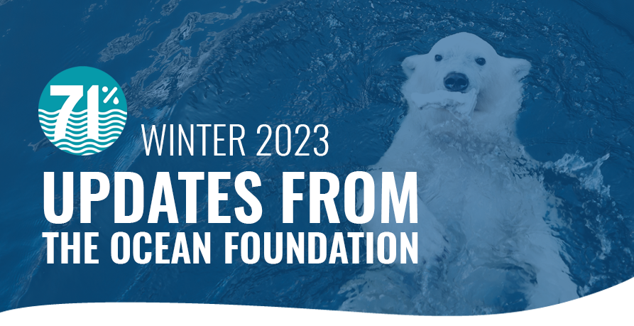 2023 Winter Updates from The Ocean Foundation: Banner