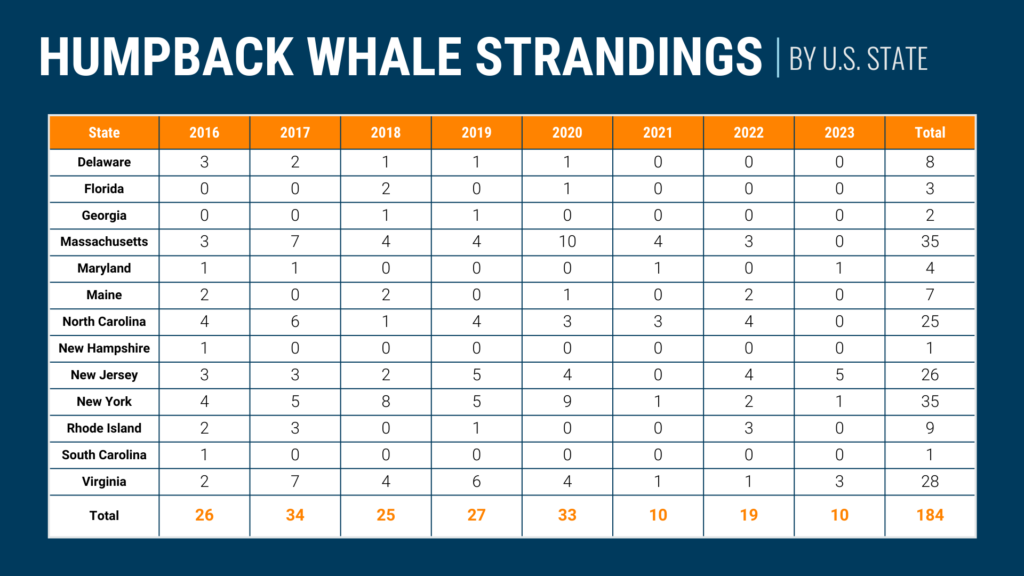 Humpback whale strandings by U.S. state. In total, there has been a 184 humpback whale strandings in the U.S. since 2016.