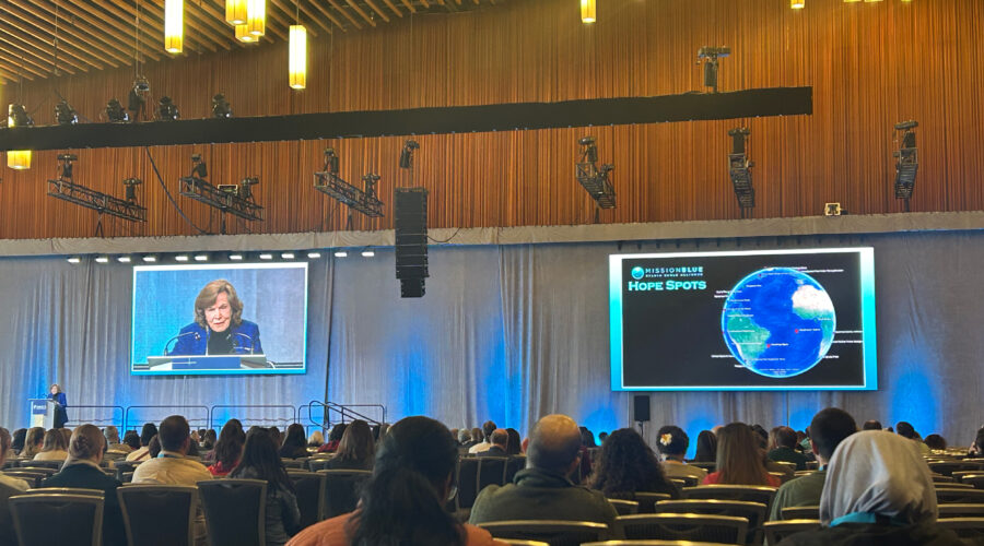 IMPAC5 conference: Sylvia Earle