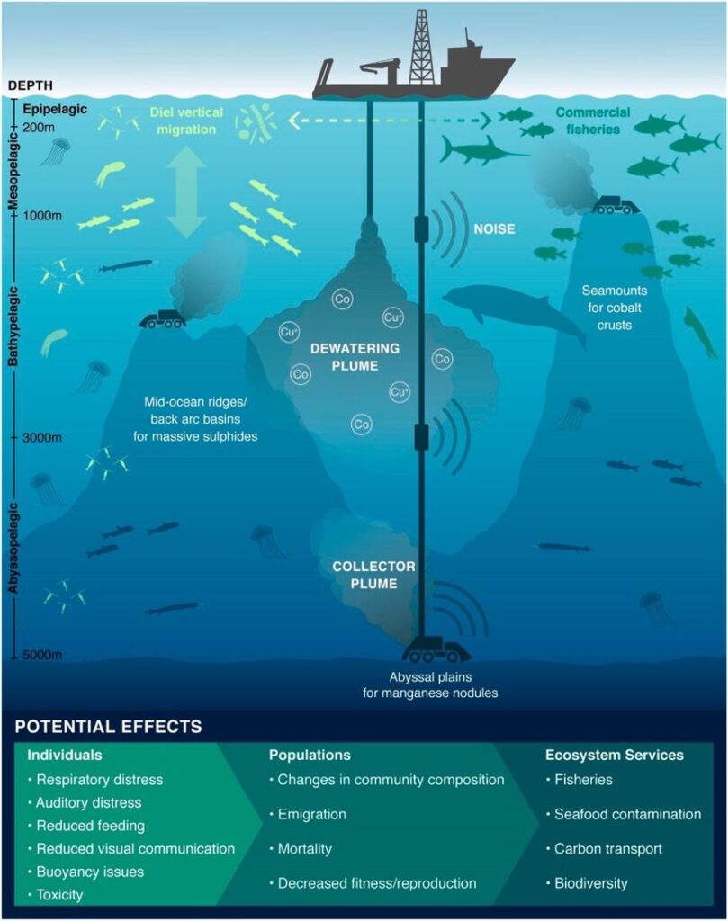 introduction à l'exploitation minière des grands fonds marins : zones d'impact potentielles pour les panaches de sédiments, le bruit et les machines d'extraction de nodules sur les fonds marins profonds.