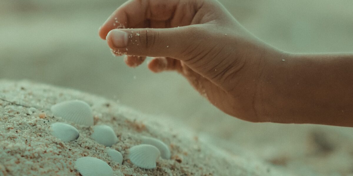 Hand of child playing with sea shells