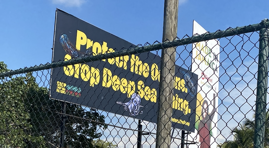 Sign that says "Protect the Ocean. Stop Deep Sea Mining"