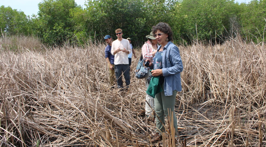 project participants in marsh
