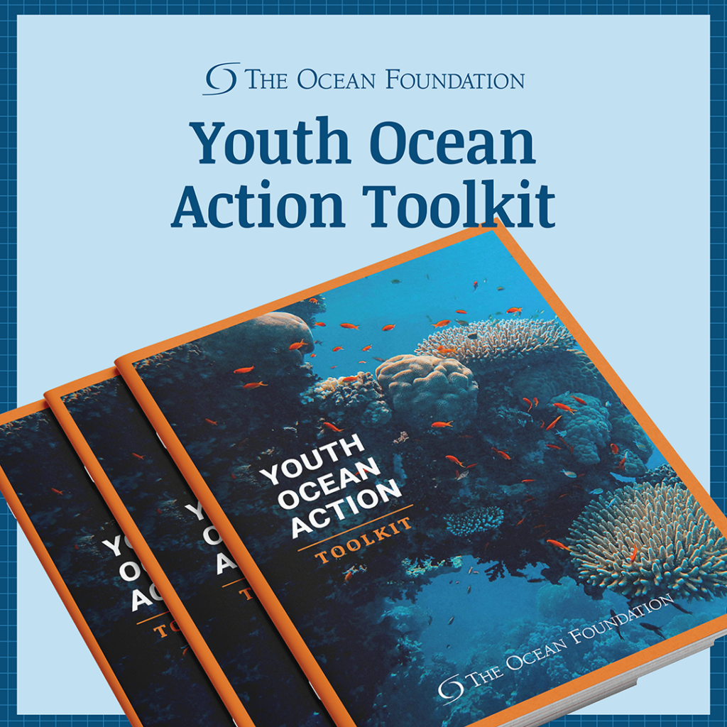 A square graphic with "Youth Ocean Action Toolkit" at the top and a picture of a stack of toolkits