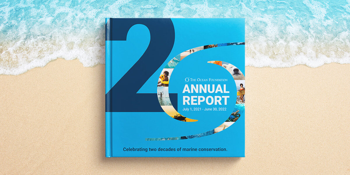 Last year's annual report in a beach background