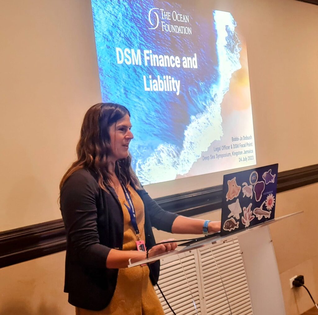 Bobbi-Jo Dobush presenting to the Sustainable Ocean Alliance Youth Symposium on DSM Finance and Liability.