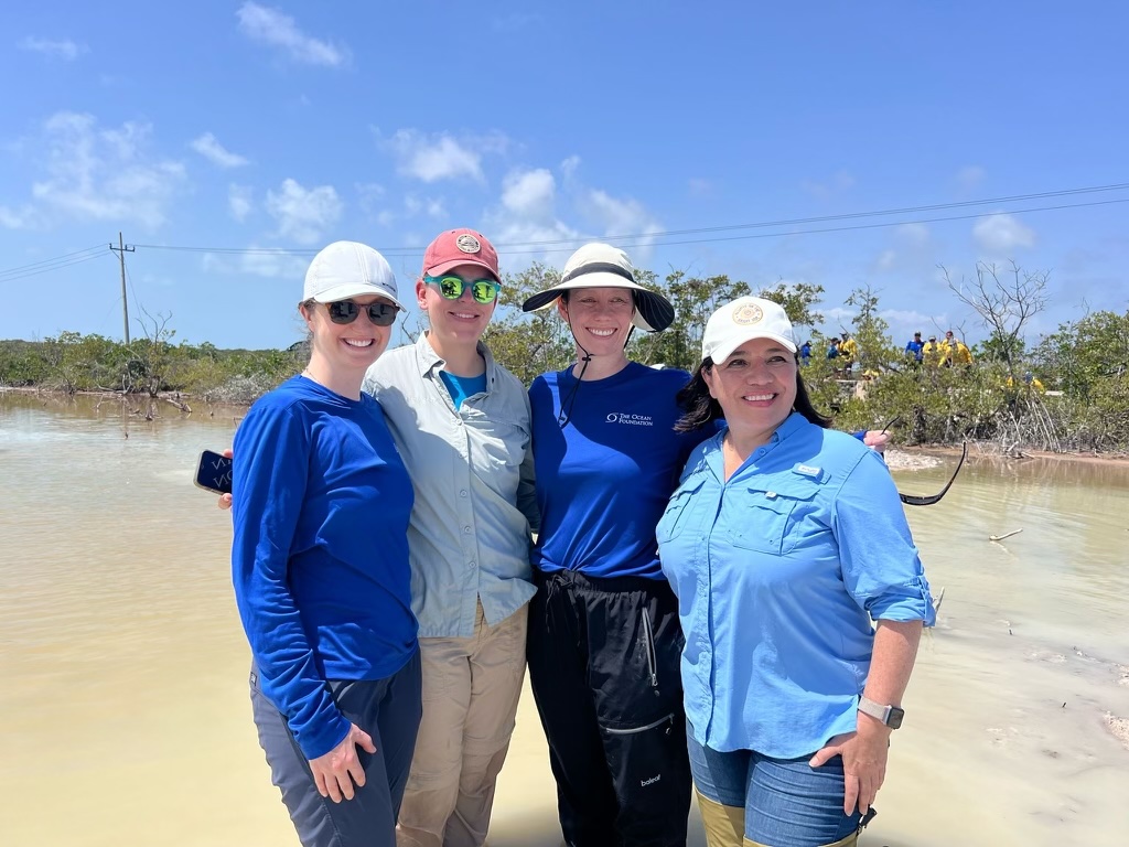 The Ocean Foundation staff standing in mud where mangroves once stood