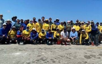 Цял екип за възстановяване на мангрови дървета в Xcalak, Мексико
