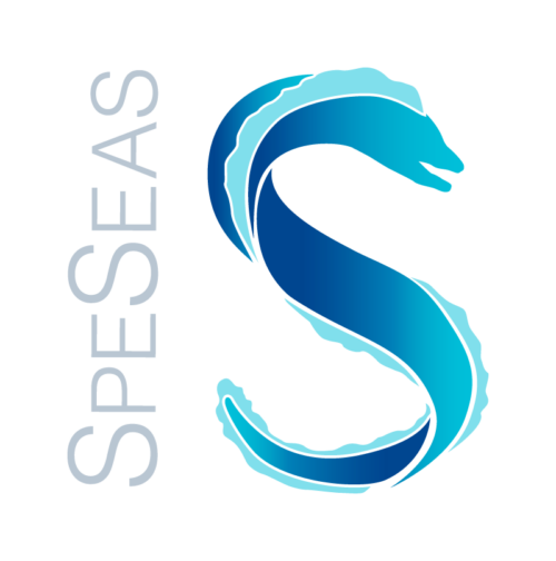 SpeSeas логотипі